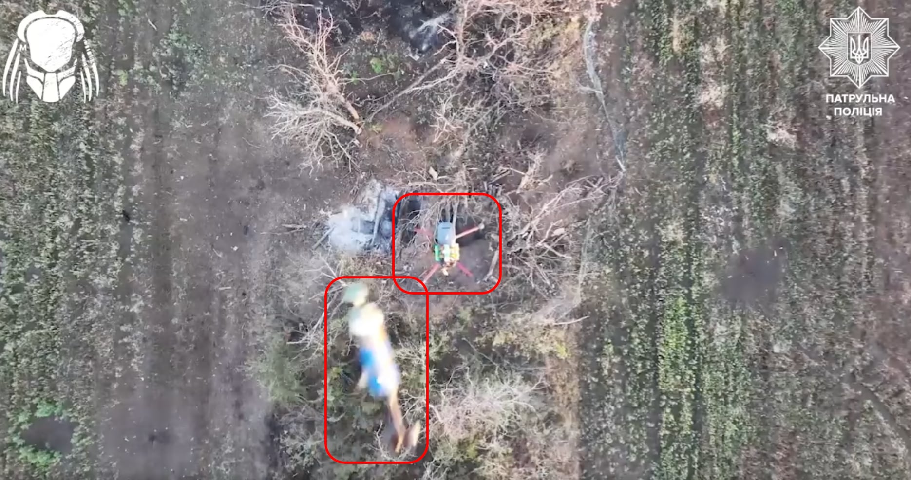 El dron "Predator" de la Policía Nacional destruye un cuadcóptero bombardeador con una caída desde arriba (video)