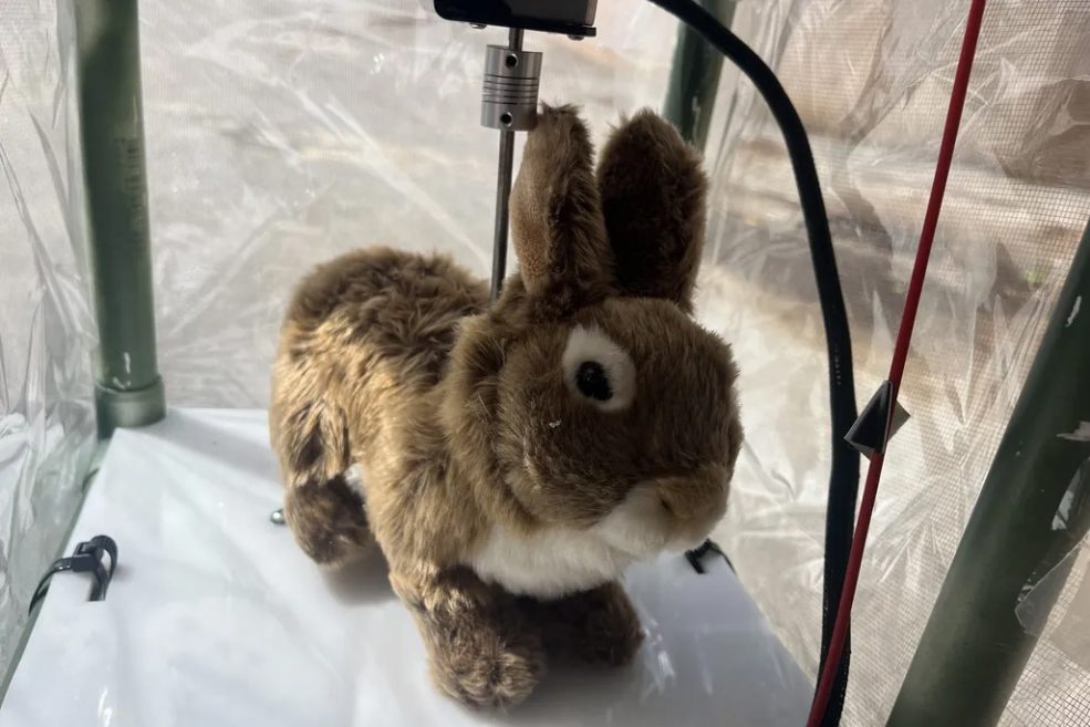 Cómo los conejos robóticos están cambiando la moda de las mascotas Conejo Robot: Un juguete del futuro o un avance en robótica?