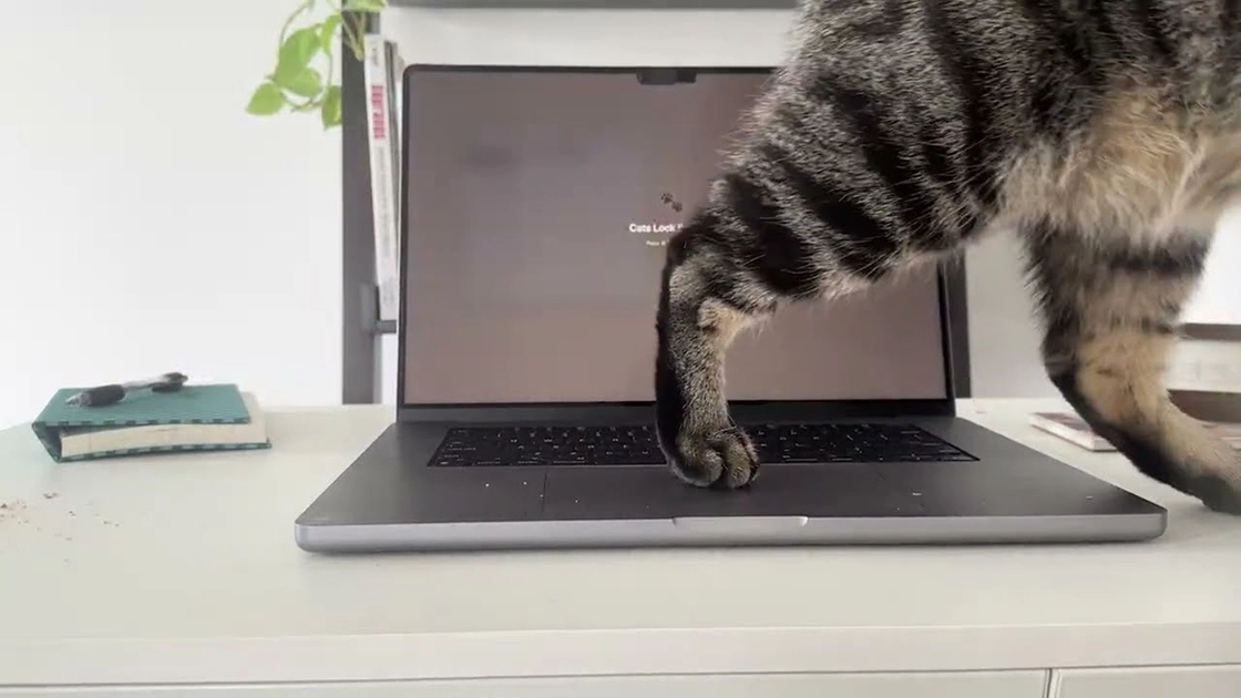 Cats Lock bloquea el teclado del Mac para que las pisadas del gato no provoquen ninguna acción.