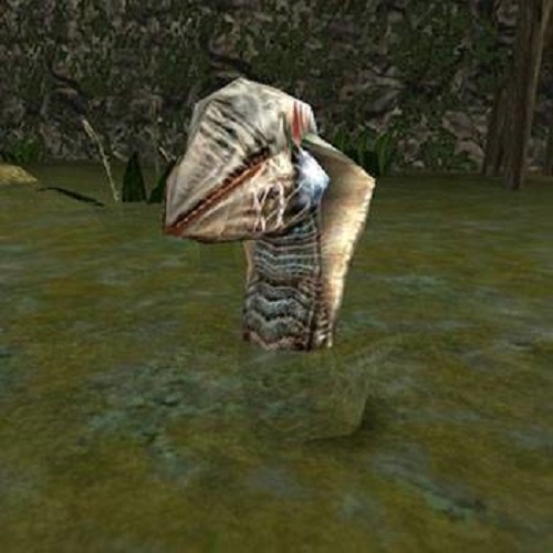Nuevo aspecto del sanguinario depredador: los desarrolladores del remake de Gothic mostraron el aspecto actualizado de Swamp Shark-3 Nuevo aspecto del sanguinario depredador: los desarrolladores del remake de Gothic mostraron el aspecto actualizado de Swamp Shark-3