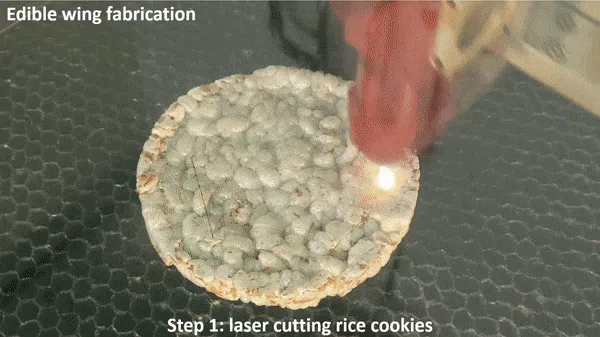 Científicos suizos crean un dron comestible con 300 kcal de calorías para salvar vidas en situaciones de emergencia-2 Científicos suizos crean un dron comestible con 300 kcal de calorías para salvar vidas en situaciones de emergencia-2