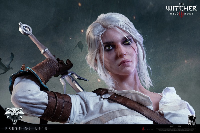 Heraldo al estilo de The Witcher Heraldo al estilo de The Witcher
