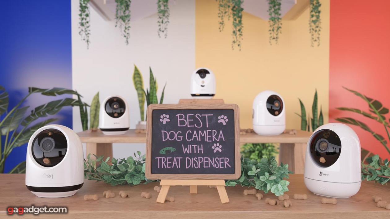Mejor cámara para perros con dispensador de golosinas Mejor cámara para perros con dispensador de golosinas