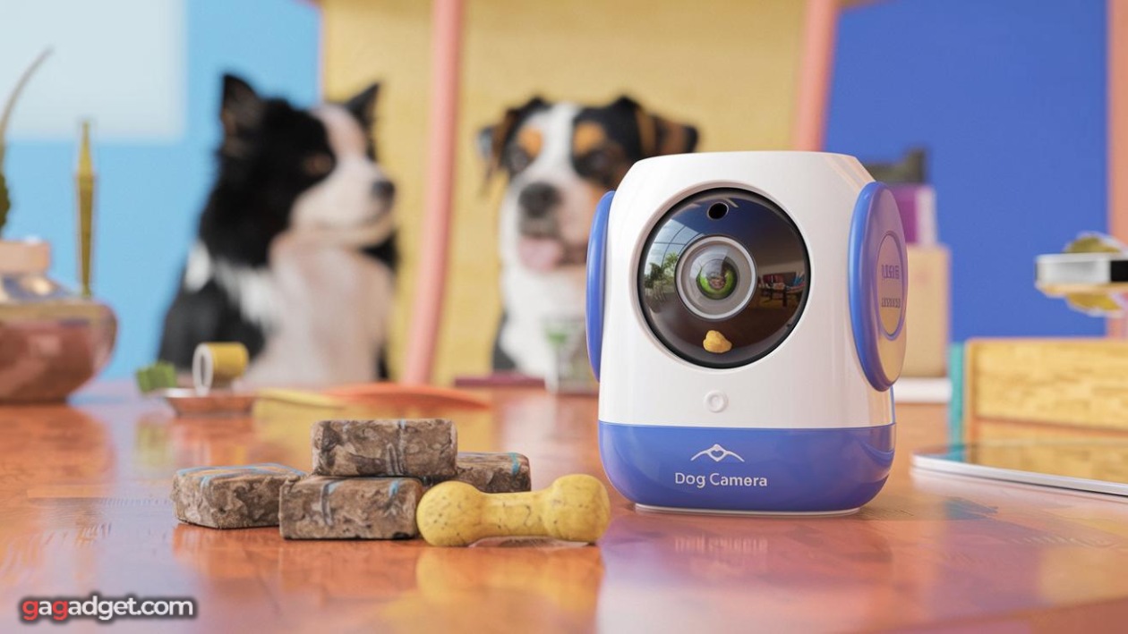 Dispensador de premios a distancia para perros Dispensador de premios a distancia para perros