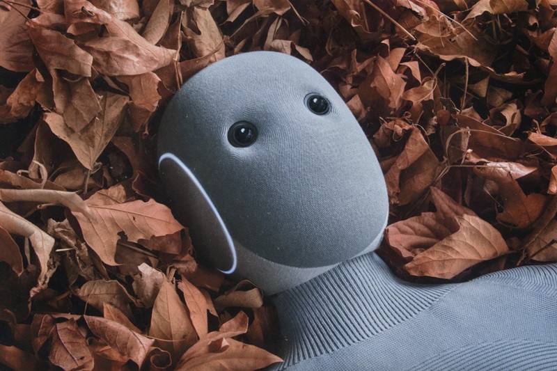 NEO Home Robot en el interior NEO Home Robot en el interior