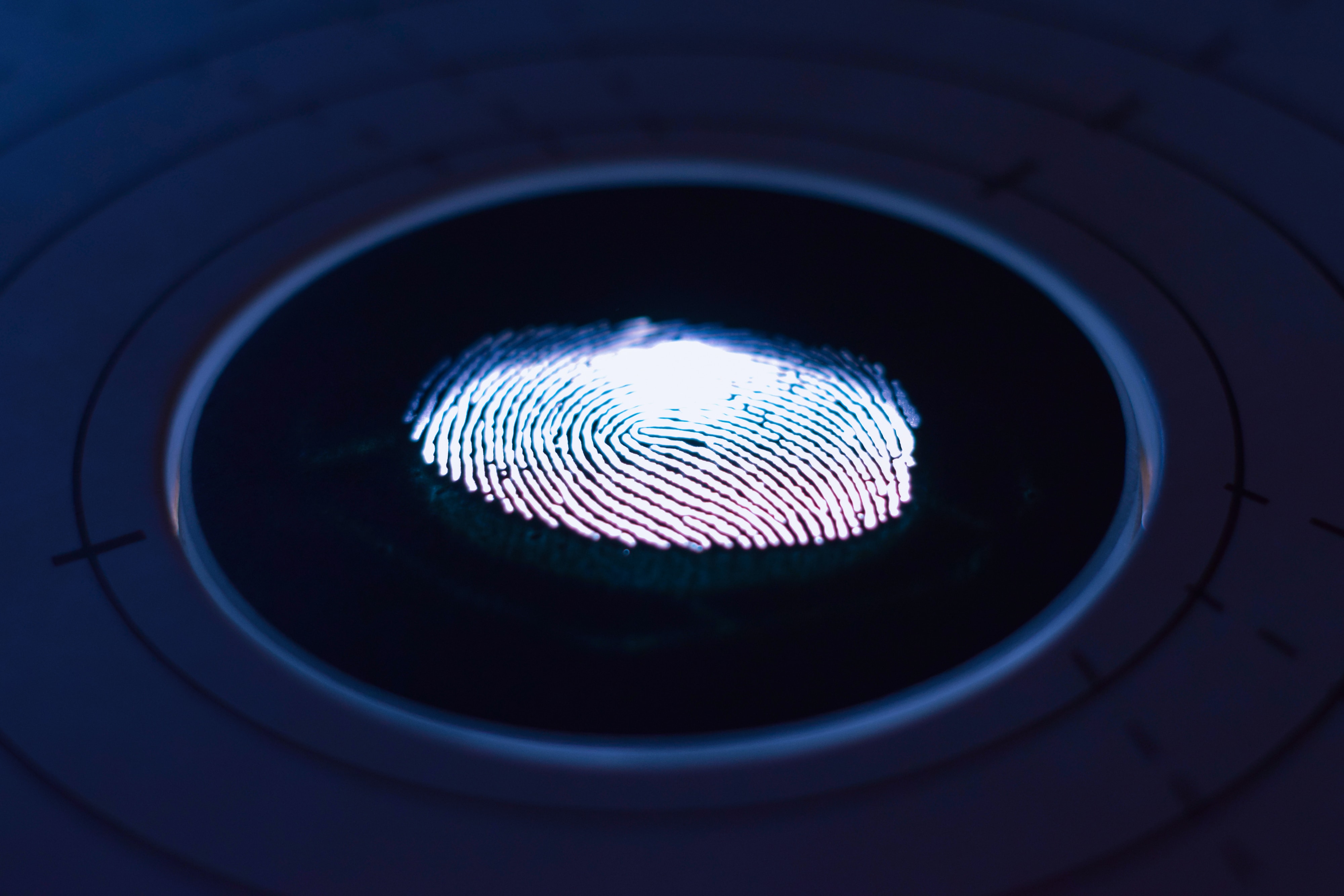 La inteligencia artificial ha descubierto similitudes entre las huellas dactilares de una persona, algo que antes se creía imposible La inteligencia artificial ha descubierto similitudes entre las huellas dactilares de una persona, algo que antes se creía imposible