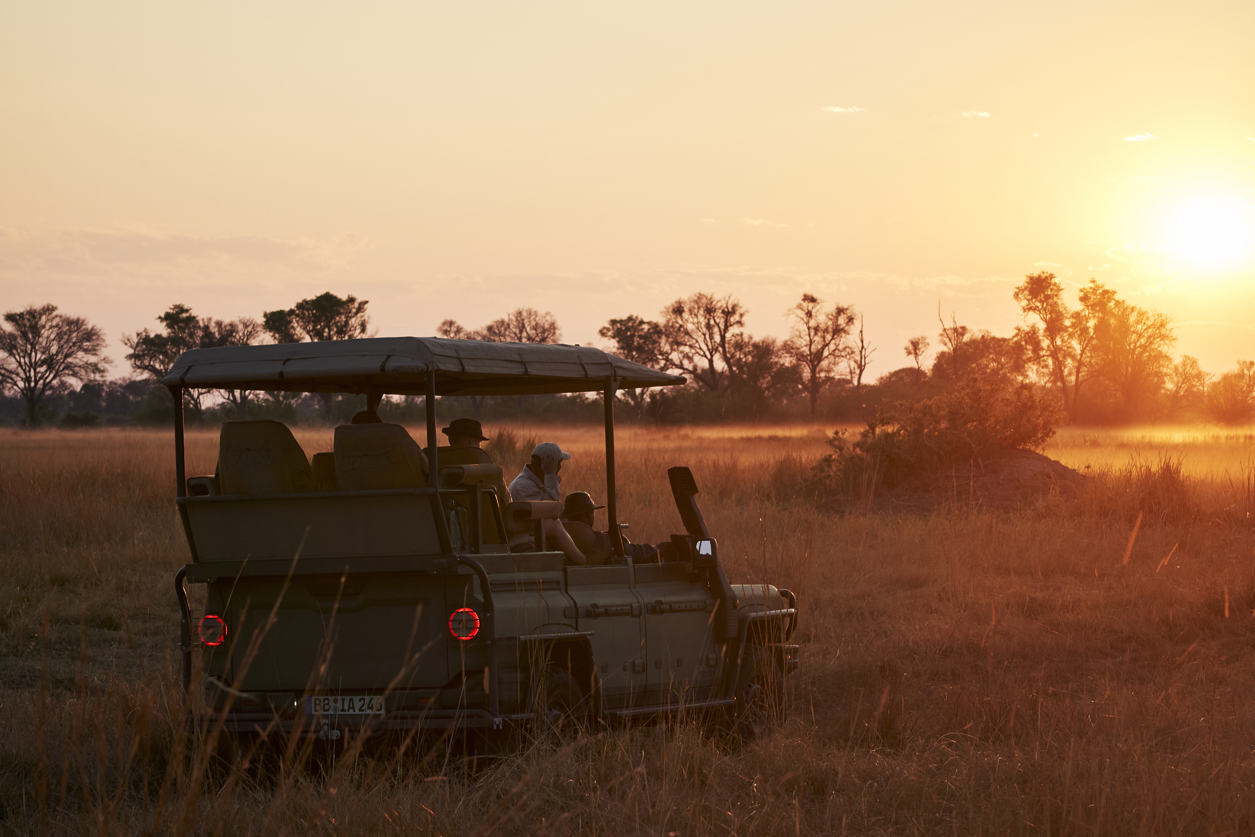 Detalles del interior del Grenadier Game Viewer