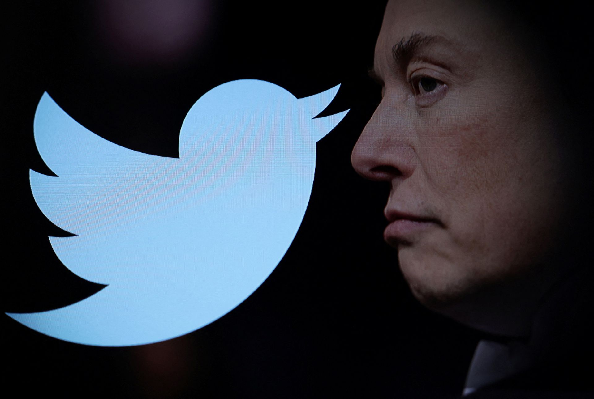 Elon Musk compró Twitter por 44.000 millones de dólares y despidió inmediatamente a la anterior dirección Elon Musk compró Twitter por 44.000 millones de dólares y despidió inmediatamente a la anterior dirección