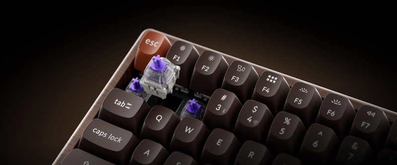 Keychron K2 HE All-Wood Special Edition - vista 1