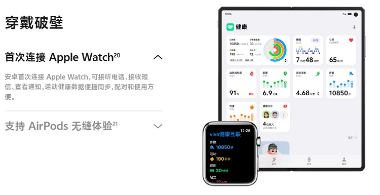 Vivo X Fold 5 Display Vivo X Fold 5 Display
