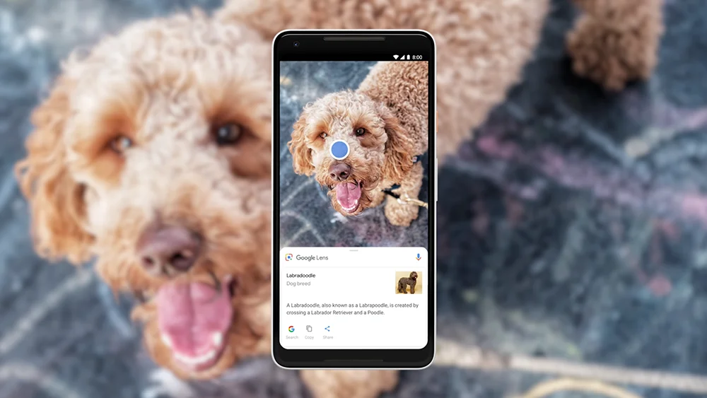 Google Lens genera respuestas basadas en inteligencia artificial para búsquedas visuales Google Lens genera respuestas basadas en inteligencia artificial para búsquedas visuales