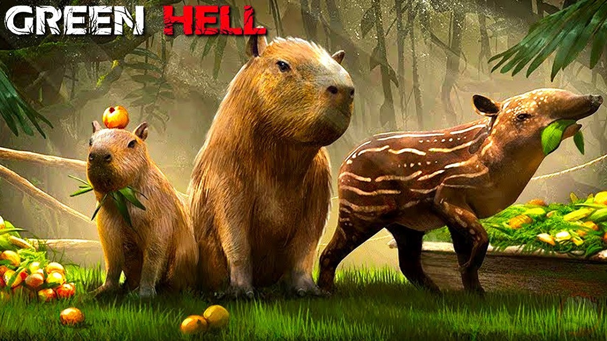 El soporte para el simulador de supervivencia Green Hell llega a su fin: la actualización final de Decorations se publicará la próxima semana El soporte para el simulador de supervivencia Green Hell llega a su fin: la actualización final de Decorations se publicará la próxima semana
