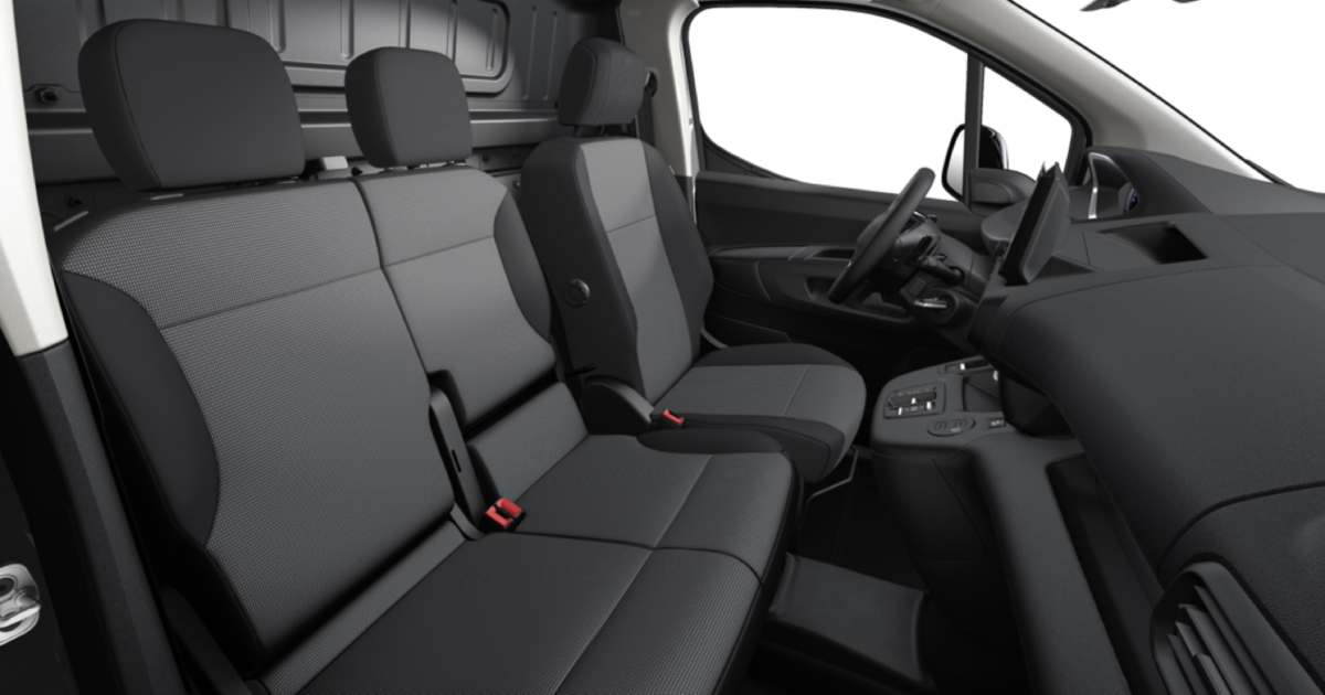 Peugeot Partner Pro Skill - vista trasera