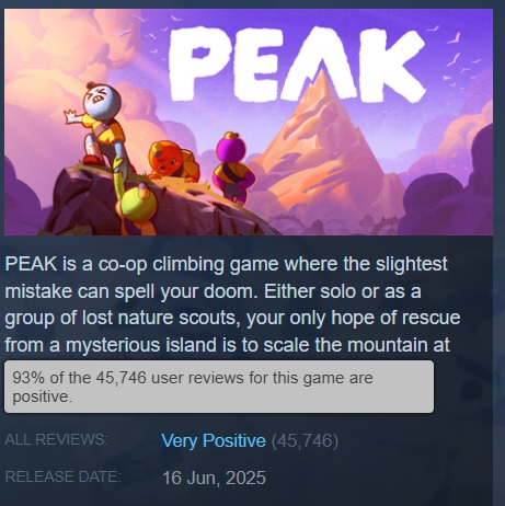 PEAK Arcade climbing simulator