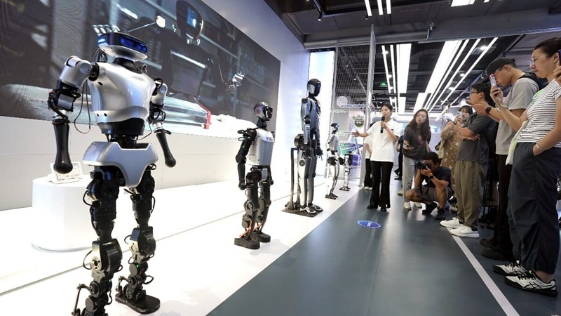 Vista del Robot Mall Vista del Robot Mall