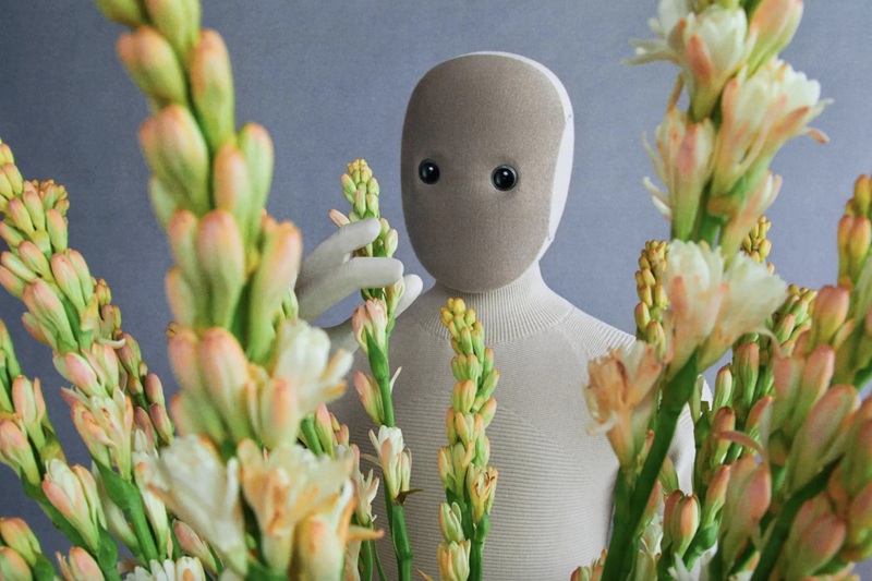 Funcionalidades del NEO Home Robot Funcionalidades del NEO Home Robot