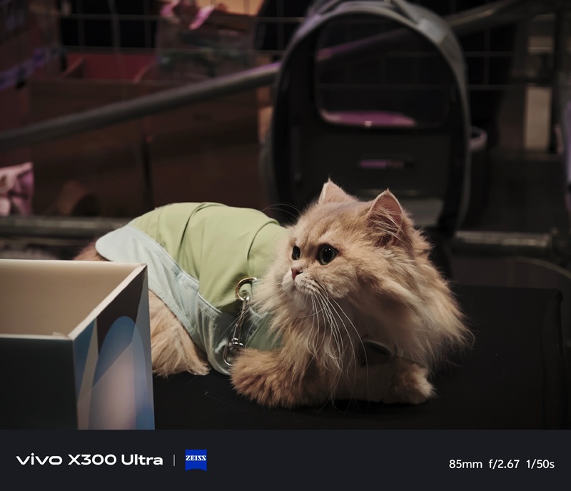 Foto del Vivo X300 Ultra 1