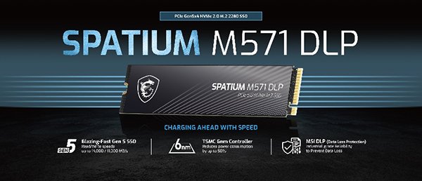 SSD MSI Spatium M571 DLP